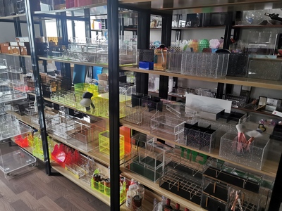 Various Kinds Acrylic Display